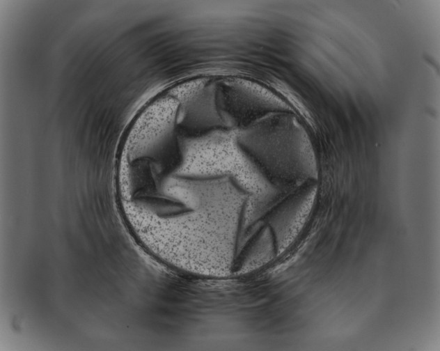 X0000091220853200709061458