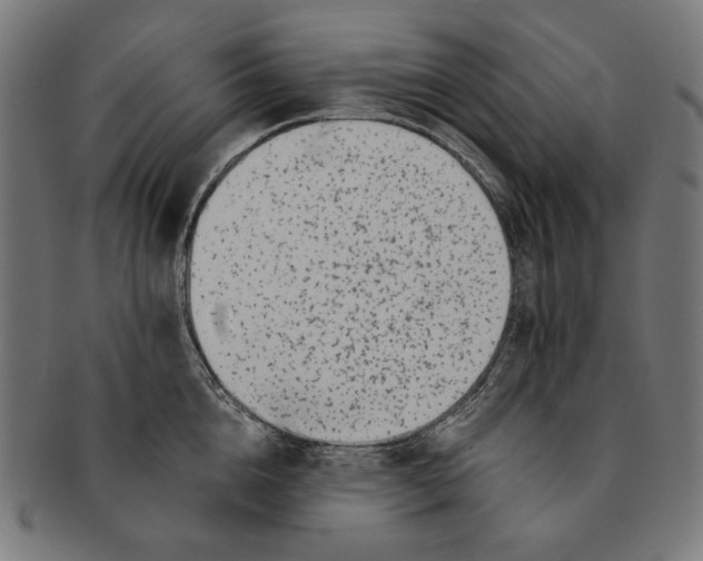 X0000091220856200709061458