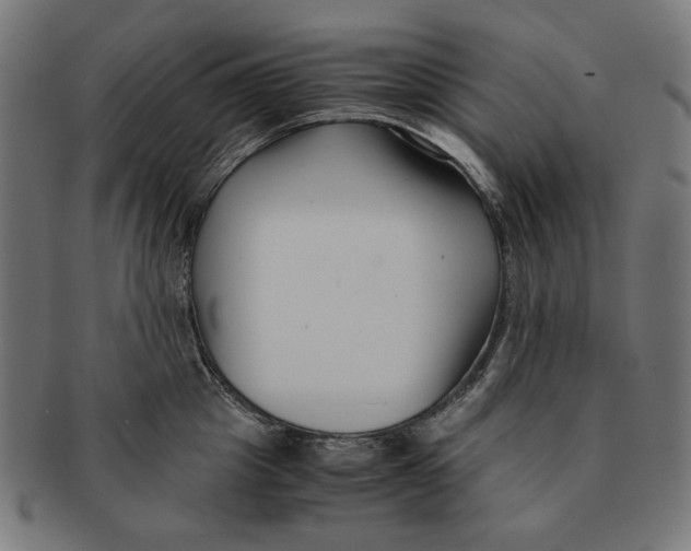 X0000091220857200709061458