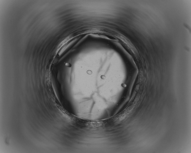 X0000091220858200709061458