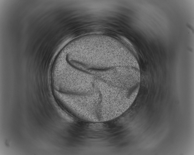 X0000091220859200709061458