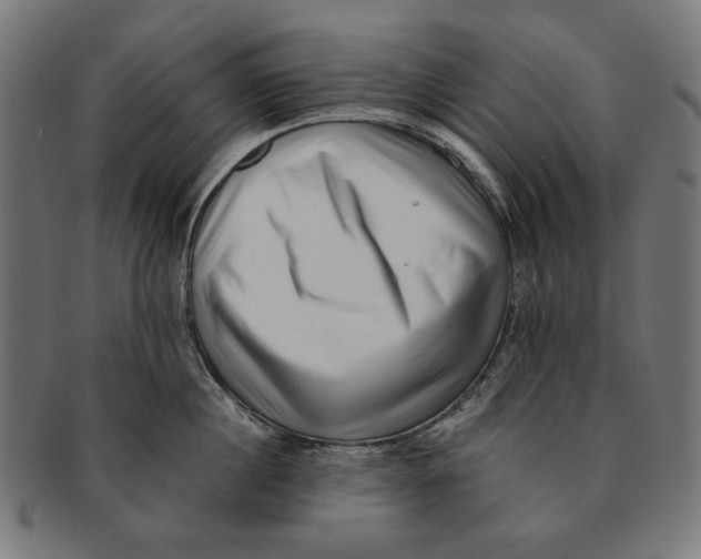 X0000091220860200709061458