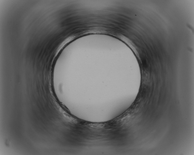 X0000091220861200709061458