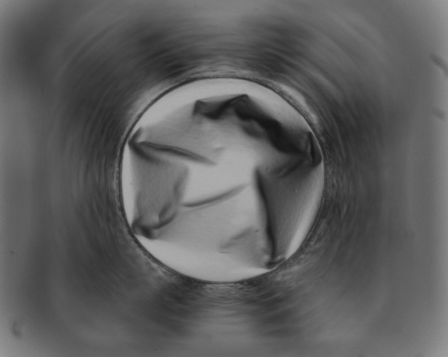 X0000091220863200709061458