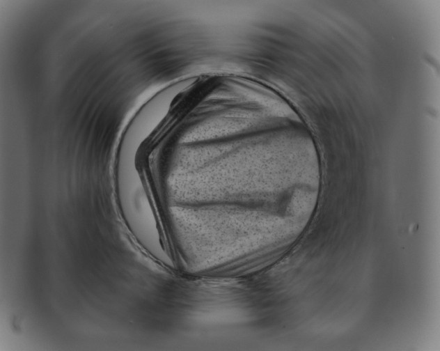 X0000091220864200709061458