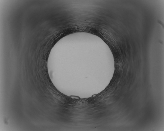 X0000091220865200709061458