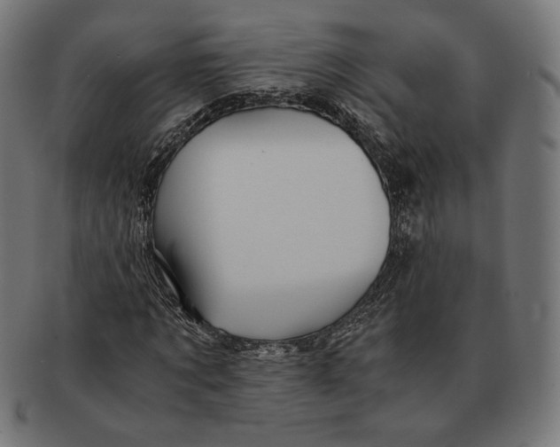 X0000091220869200709061458