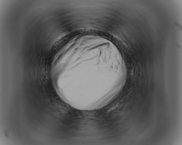 X0000091220870200709061458