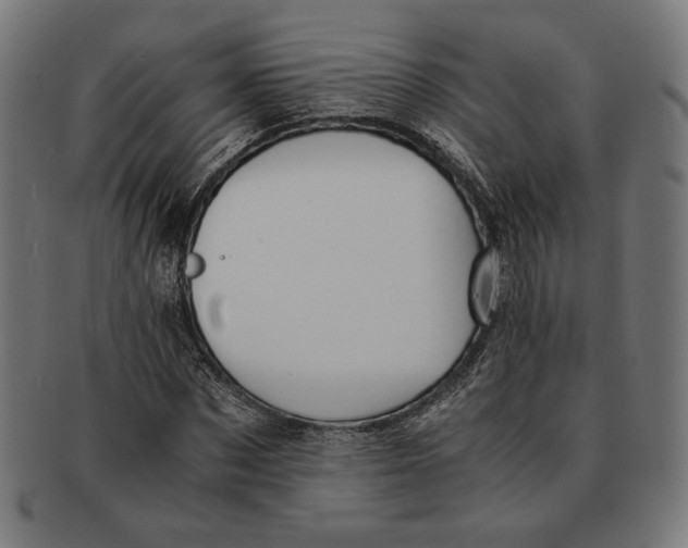 X0000091220873200709061457