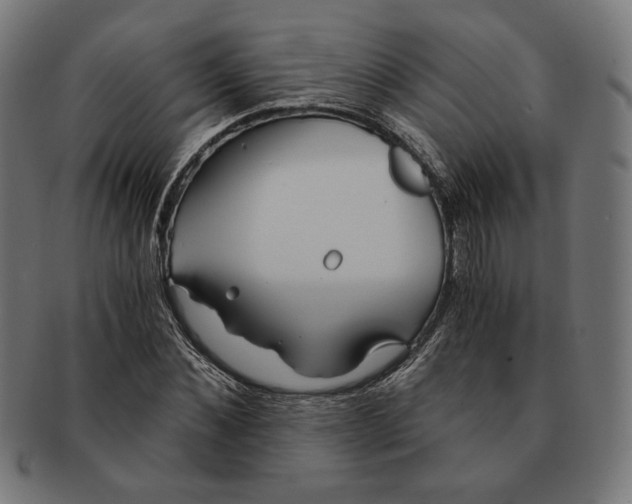 X0000091220876200709061457