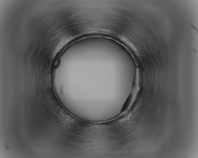 X0000091220877200709061457