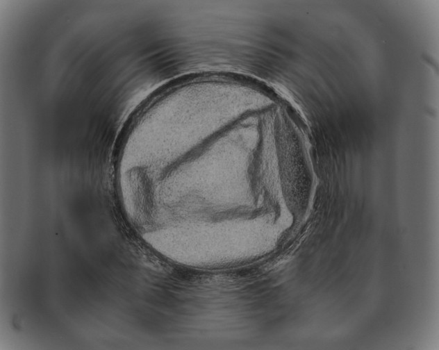 X0000091220879200709061457