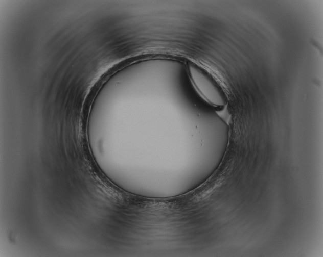 X0000091220880200709061457