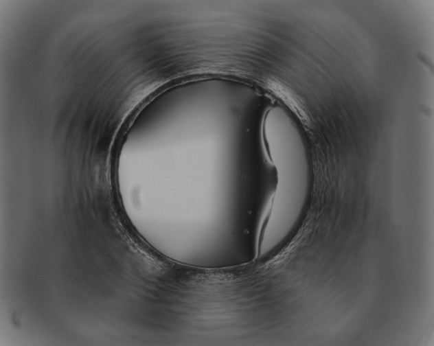 X0000091220884200709061457