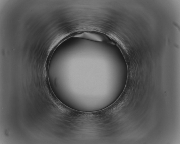 X0000091220885200709061457