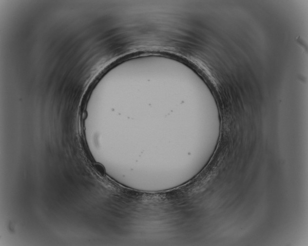 X0000091220887200709061457