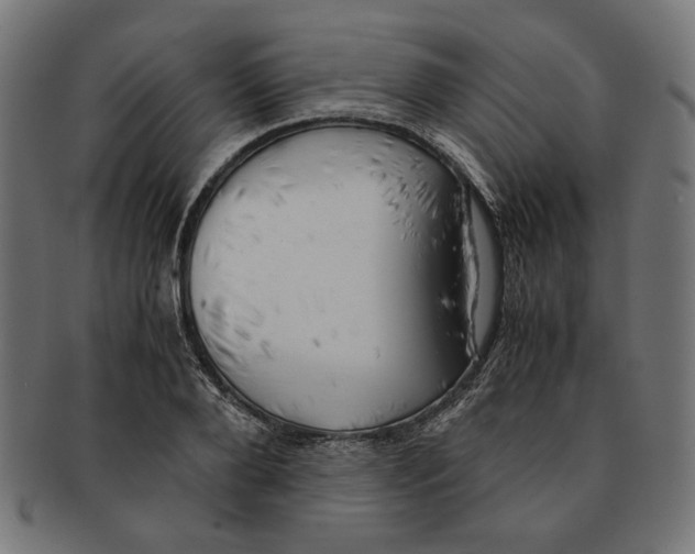 X0000091220888200709061457