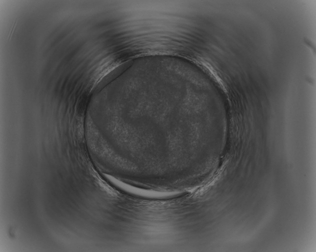 X0000091220889200709061457