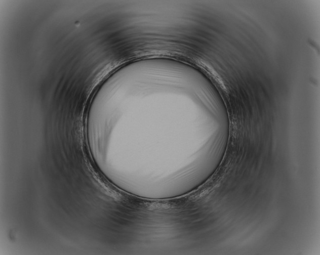 X0000091220890200709061457