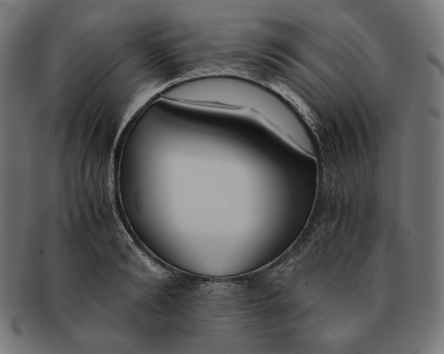 X0000091220894200709061457