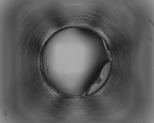 X0000091220896200709061457