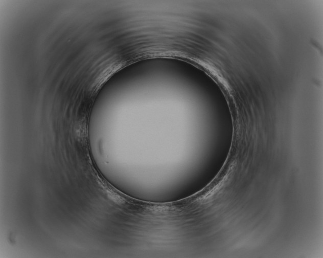 X0000091220897200709061457