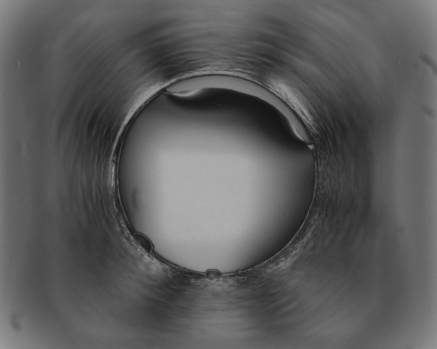 X0000091220900200709061457