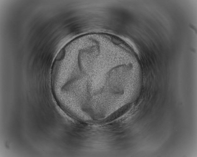 X0000091220903200709061457