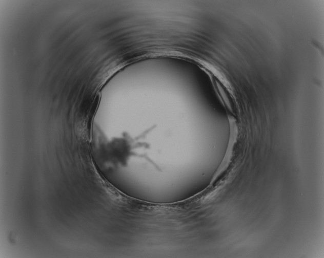 X0000091220905200709061457