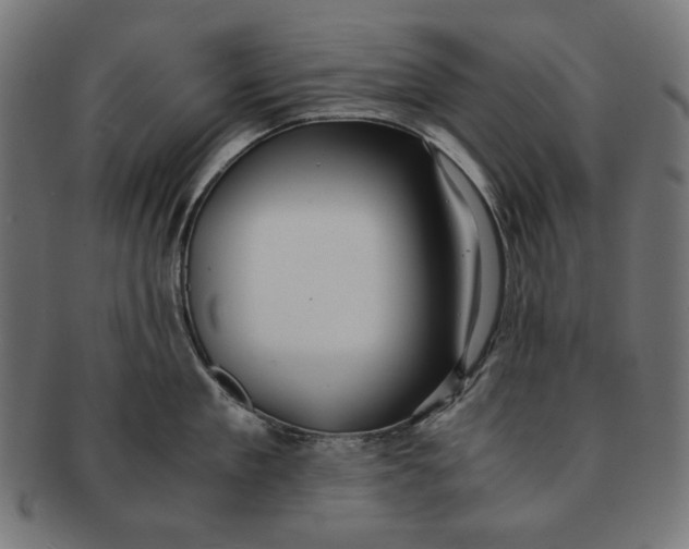 X0000091220909200709061457