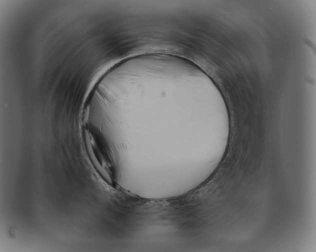 X0000091220912200709061457