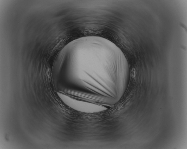 X0000091220915200709061456