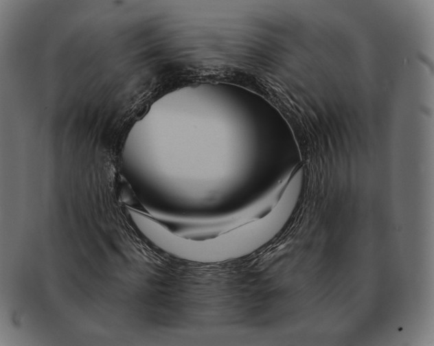 X0000091220916200709061456