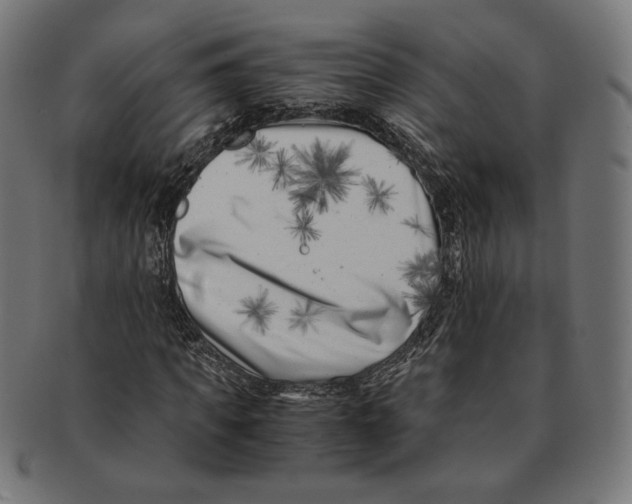 X0000091220917200709061456