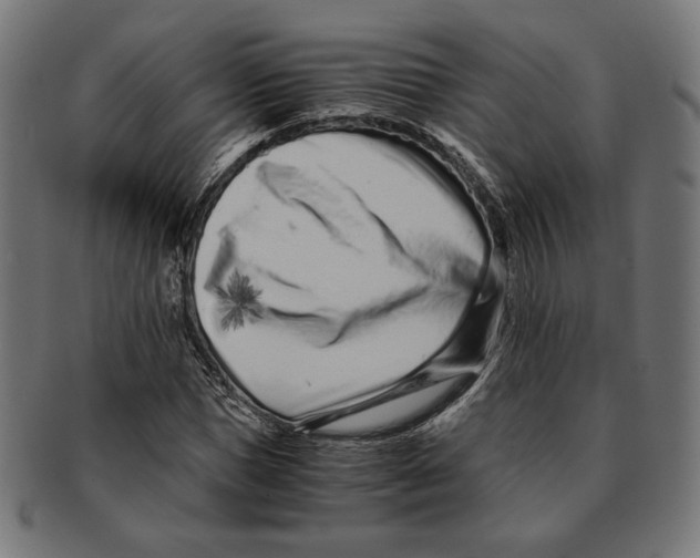 X0000091220921200709061456