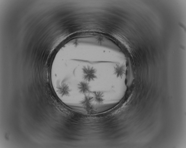 X0000091220925200709061456