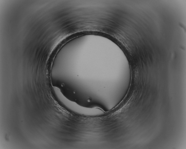 X0000091220926200709061456