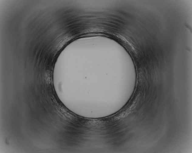 X0000091220929200709061456