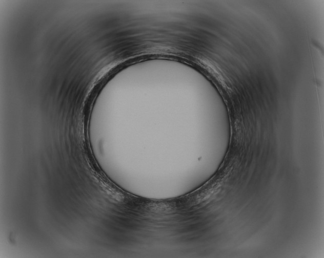 X0000091220931200709061456