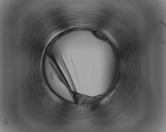 X0000091220932200709061456