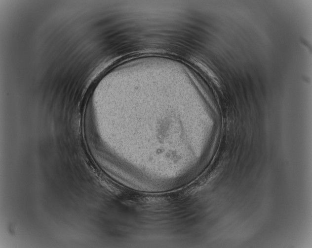 X0000091220933200709061457