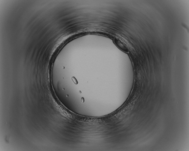 X0000091220934200709061457