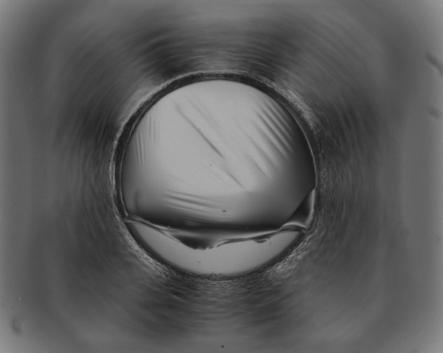 X0000091220935200709061457