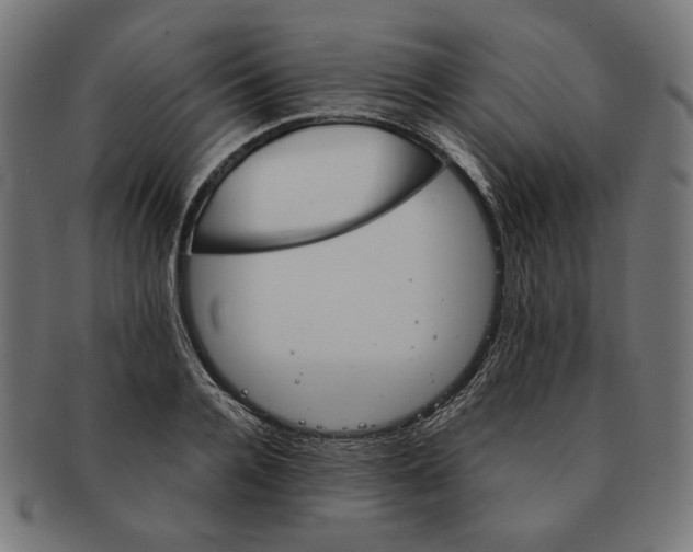 X0000091220936200709061457