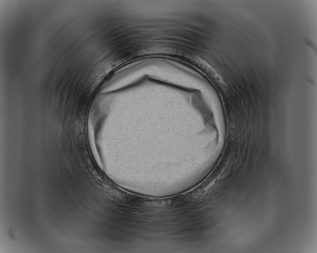 X0000091220937200709061457