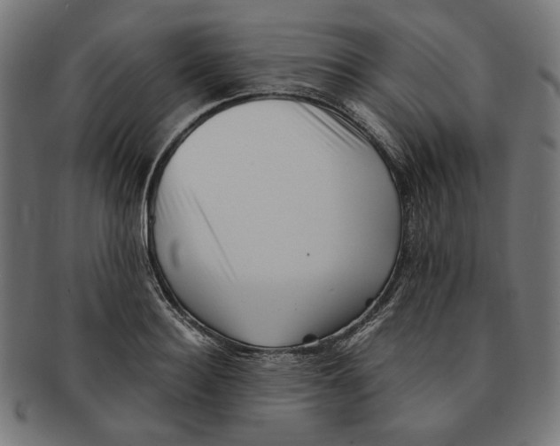 X0000091220940200709061457