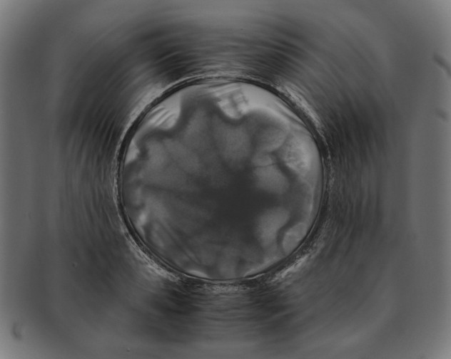 X0000091220941200709061457