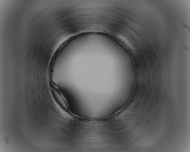 X0000091220942200709061457