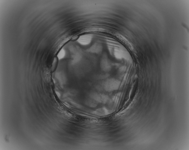 X0000091220945200709061457