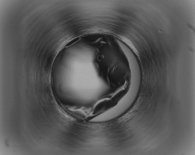 X0000091220946200709061457